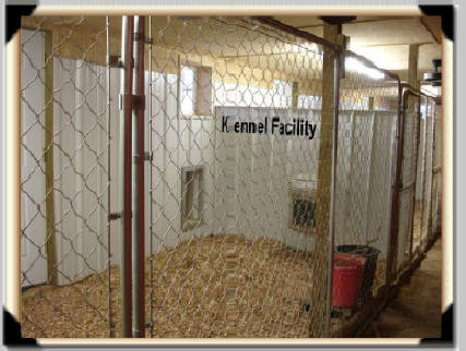 smith standard poodles kennel facility